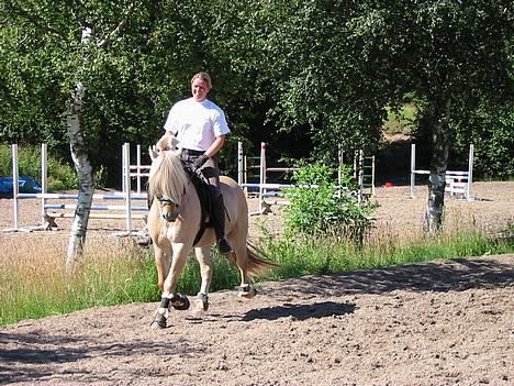 Fjordhest Appel Halsnæs AVLSHINGST  - Træning 15. juli 06 billede 6