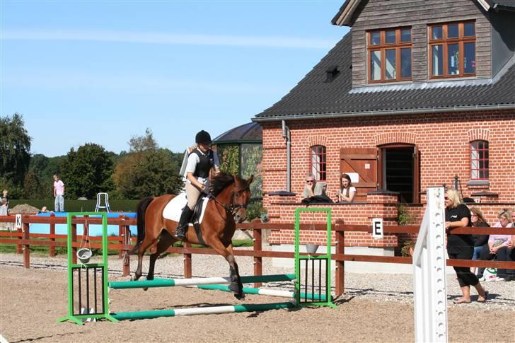 Arabisk fuldblod (OX) Gismo OX - Gisser og mig stævne d.9./9 07 billede 11