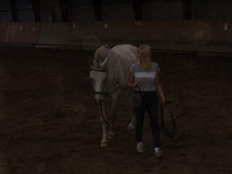 Anden særlig race Janus billede 11