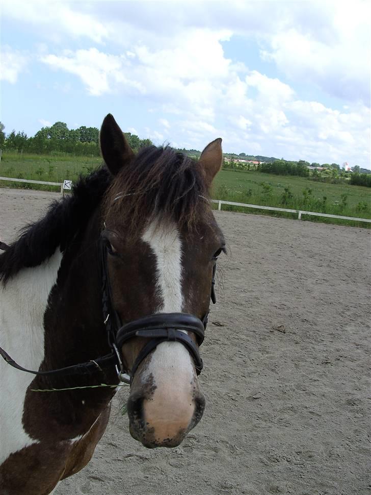 Tinker Frederik (Solgt) billede 13