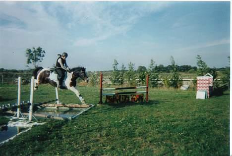 Tinker Frederik (Solgt) - Godt over den store vandgrav.. Hjemme hos os selv.. billede 15