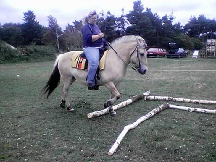 {{currentPhoto.altText}} billede {{currentPhoto.number}}