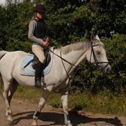 Anden særlig race Chanel No.5