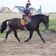 Oldenborg Ib Rehne Cairo #Himmelhest#