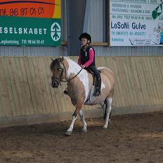 Anden særlig race ••((¯`» Beauty «´¯))••