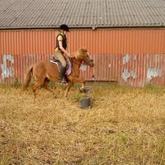 Anden særlig race Futte.†. ~savnet for altid~