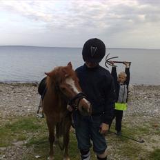 Anden særlig race Futte.†. ~savnet for altid~