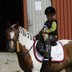 Anden særlig race Chilli Pepper