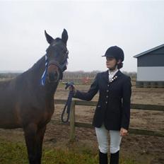 New Forest VOGNMANDGÅRDENS SHANTI  †