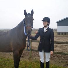 New Forest VOGNMANDGÅRDENS SHANTI  †