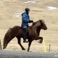 Islænder -Edgar f. Hjallanesi 1(død) 