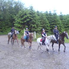 Anden særlig race Mille <33 SOLGT :'(