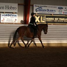 Anden særlig race Wanja<3 