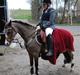 Hollandsk Sportspony Valkje - solgt -