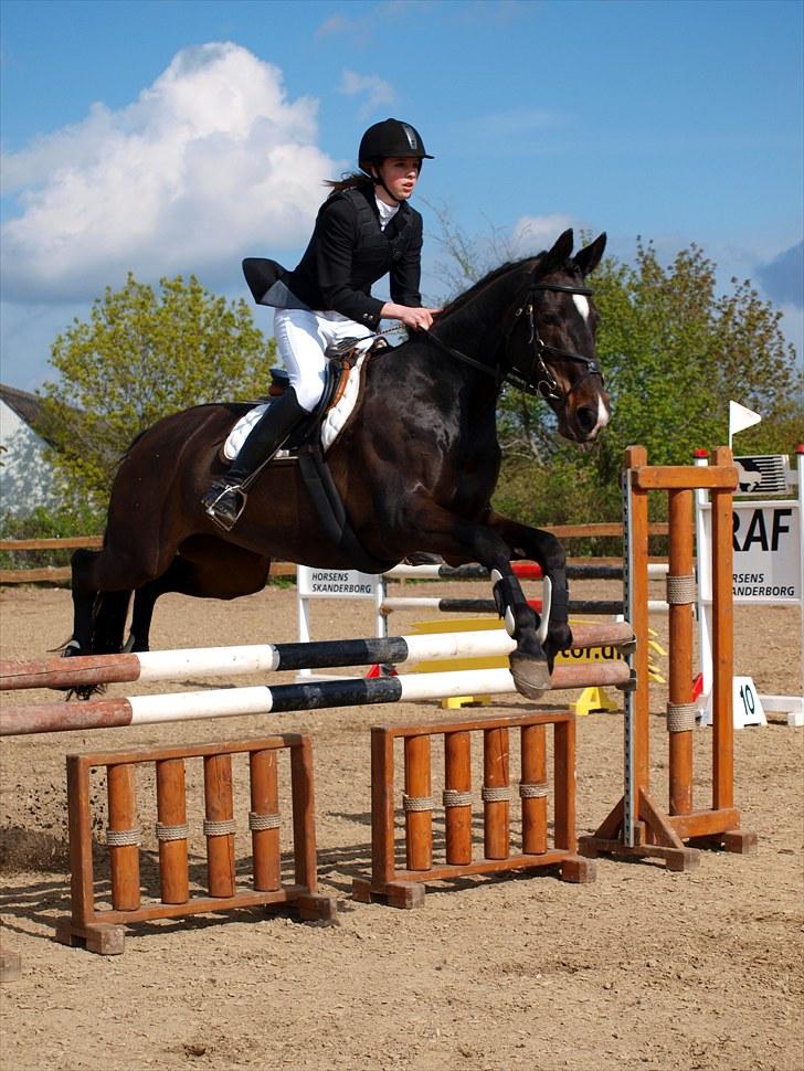 Fuldblod (XX) La Corona - LB* - for satan hun var god den dag :b Maj 2010. billede 18