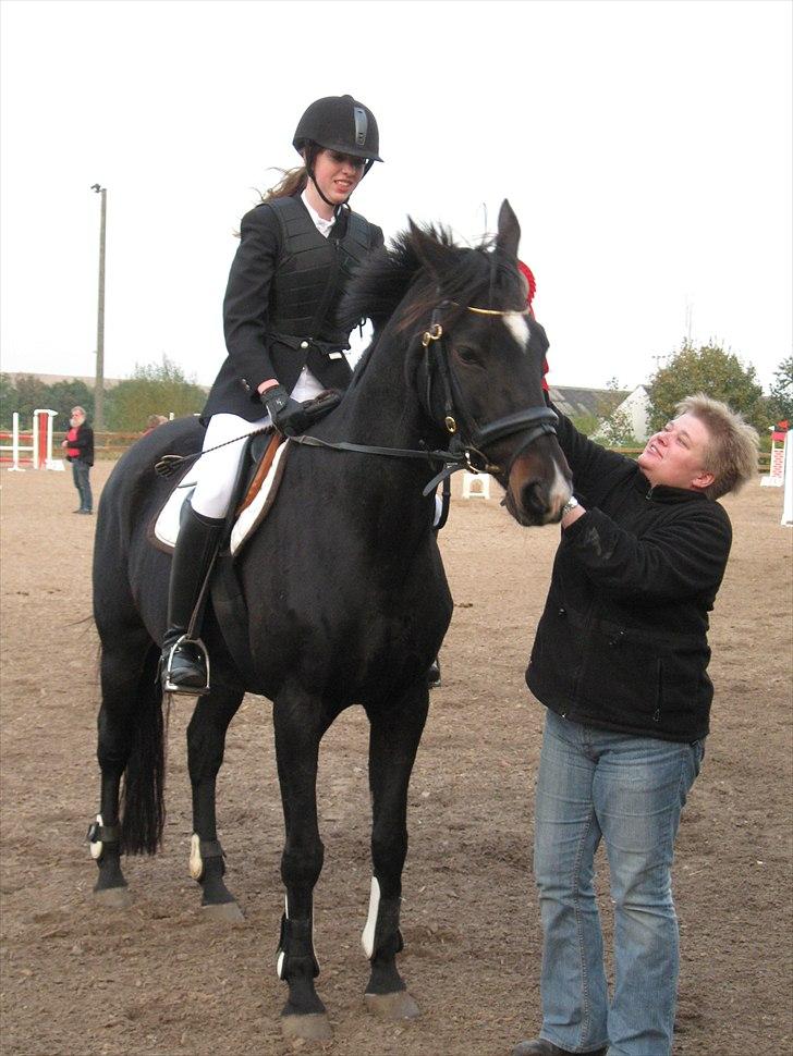 Fuldblod (XX) La Corona - Stjerne hest! 1. plads, Lb** d. 3. oktober :b billede 19