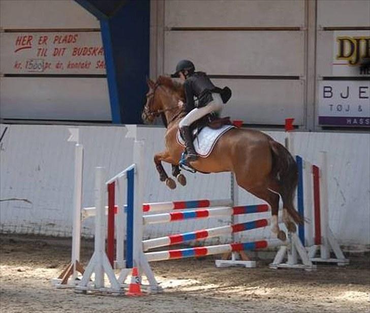 Anden særlig race Red Alert SOLGT :'/ - Kia & Red i LA.. Jeg savner dig pony:´( Du vil altid være min bedste ven :´/ <3333333333 billede 11