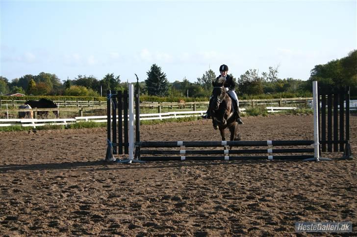 Anden særlig race Kasper (ikke mere) billede 2