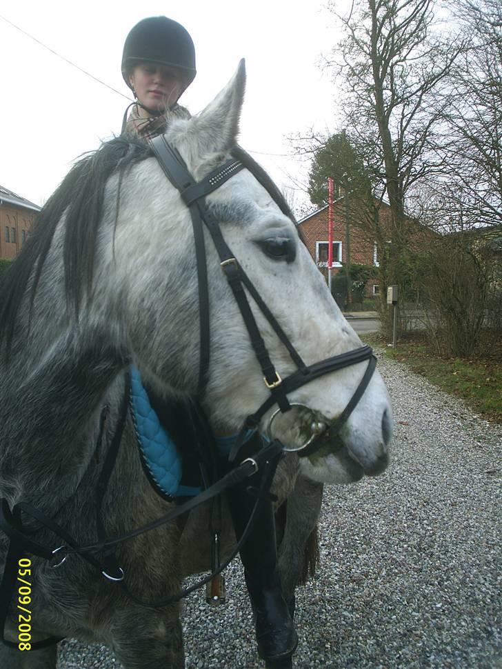 Anden særlig race Walter (SOLGT)... - Walter og Stine på besøg under en ridetur.. billede 19