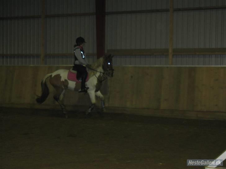 Pinto hokus Pokus  (red, SOLGT) - opvarmning foto anèe ( mestefotografen) billede 13