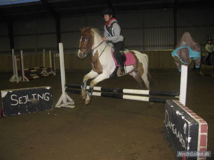 Pinto hokus Pokus  (red, SOLGT) - vil skyde på 70cm foto anèe (mesterfotografen) billede 14
