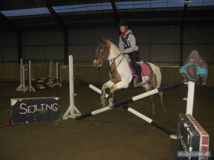 Pinto hokus Pokus  (red, SOLGT) - opvarmning foto anèe ( mestefotografen) billede 17