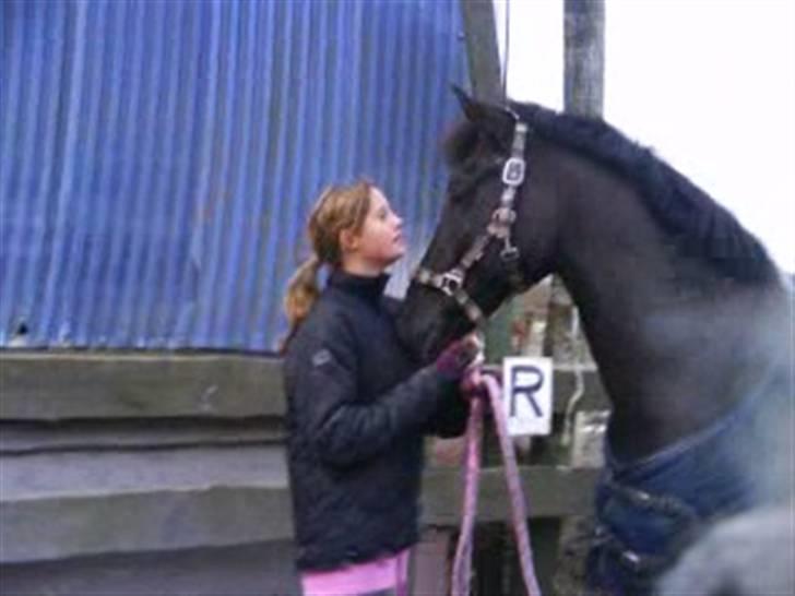 Anden særlig race Walter ( Min pony) - Mig og drengen billede 7