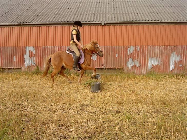 Anden særlig race Futte.†. ~savnet for altid~ billede 2