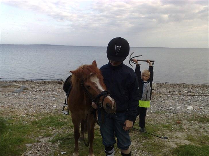 Anden særlig race Futte.†. ~savnet for altid~ - ved stranden igeen :-) pus* billede 3