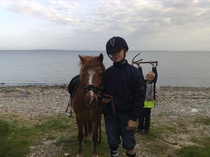 Anden særlig race Futte.†. ~savnet for altid~ - ved stranden*<33 elsker den dag!<33  billede 4