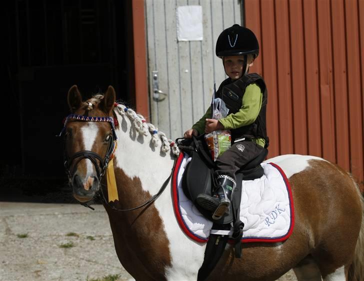 Anden særlig race Chilli Pepper - stævne juni 2009 billede 3