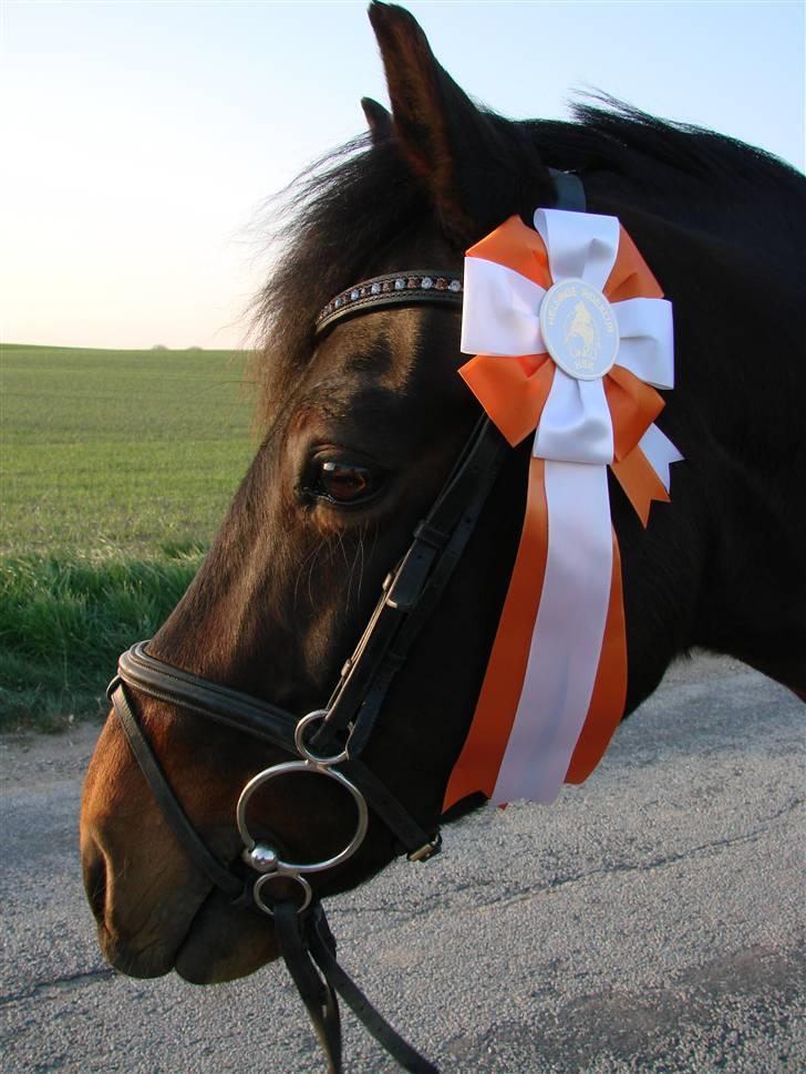 Anden særlig race Daire Girl ¤Grislybjørn¤ - Elsker dig min grislybjørn ! første MB 9plads billede 4