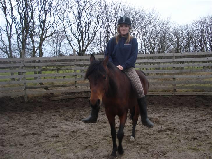 Arabisk fuldblod (OX) Halima *passede* <3 - Lidt sjov og hygge er der vel altid tid til? skridter af efter dressur undervisning 26.01.09 Foto: Kamille billede 6