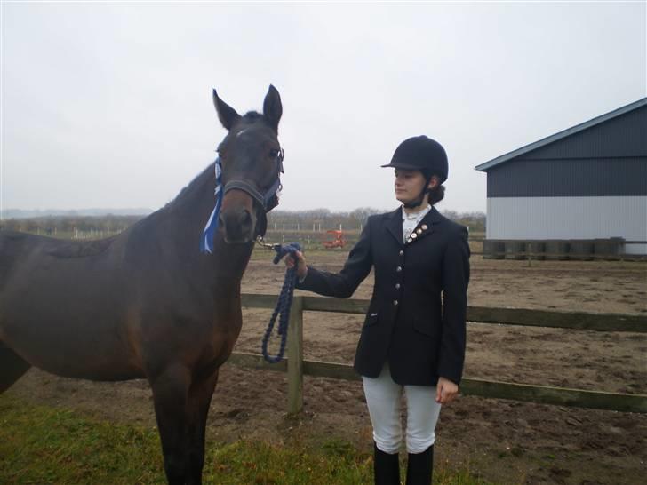 New Forest VOGNMANDGÅRDENS SHANTI  † - nr 2 til 4 års championater billede 2