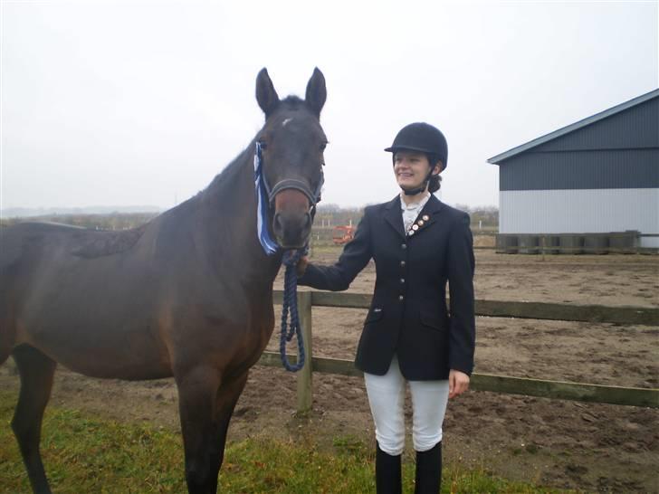 New Forest VOGNMANDGÅRDENS SHANTI  † - nr 2 til 4 års championater billede 3