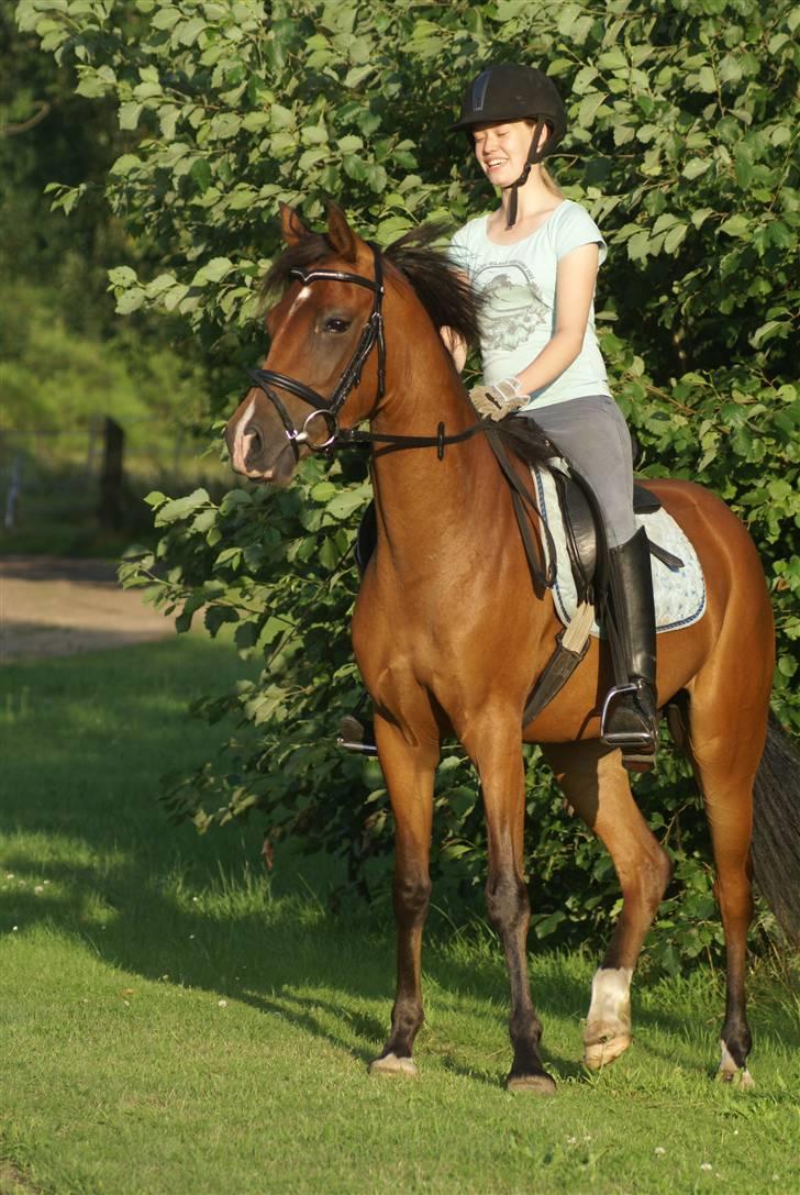 DSP Avalon *Søsters* - Uhh så smuk :D taget af Lea billede 1