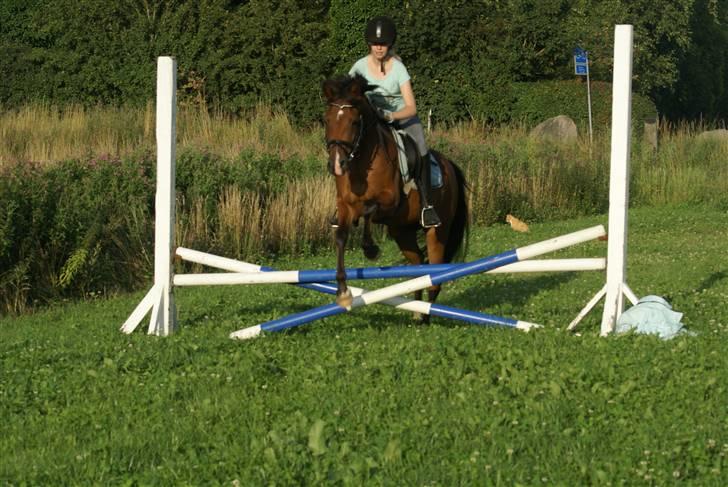 DSP Avalon *Søsters* - Avalon<3 taget af lea ;) billede 9