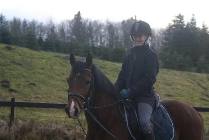 DSP Avalon *Søsters* - Det er vist 4. gang jeg sidder på hende og at hun har rytter på <3 billede 13