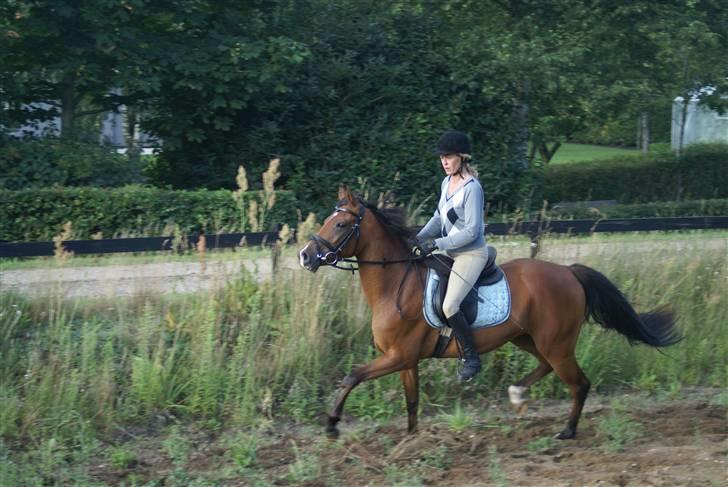 DSP Avalon *Søsters* billede 14