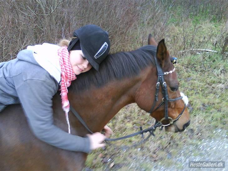 Hollandsk Sportspony Wester Aikemas Emiel <3  - 2008. emiel&rebekka!<3.   foto: heidi bisgaard. billede 4