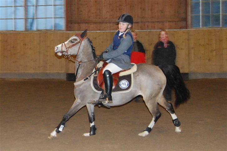 Hollandsk Sportspony Valkje - solgt - - Wiiii Fuld fart i galop billede 6