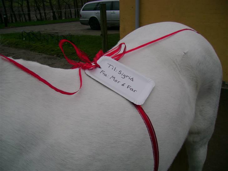 Anden særlig race Koh-I-Noor *R.I.P* - Julegaven med fine bånd og til og fra kort.. billede 2