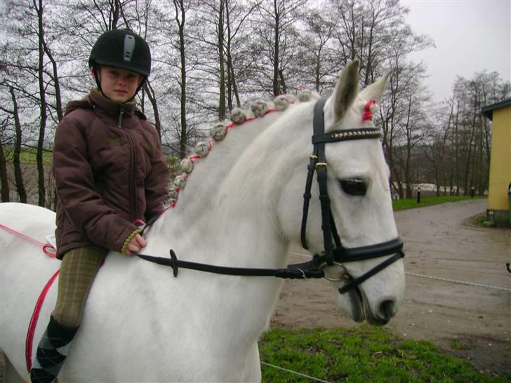 Anden særlig race Koh-I-Noor *R.I.P* - Min smukke smukke julegave julemorgen 2008  billede 4