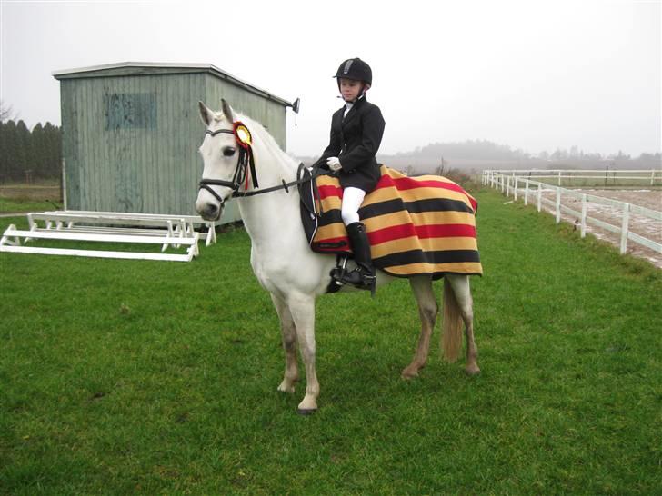 Anden særlig race Koh-I-Noor *R.I.P* billede 9