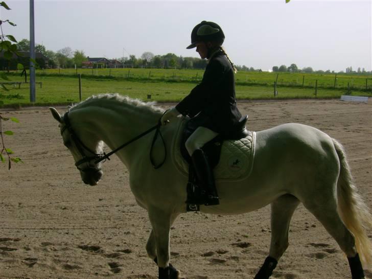 Anden særlig race Koh-I-Noor *R.I.P* billede 11