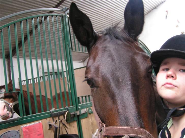 Oldenborg Lotte(solgt); billede 17