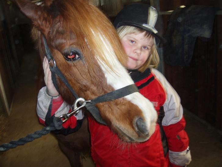 Dartmoor Jessica billede 5