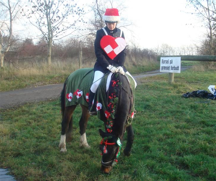Anden særlig race Anton - Julestævne i TNKR ;P [Foto: Min mor] billede 5