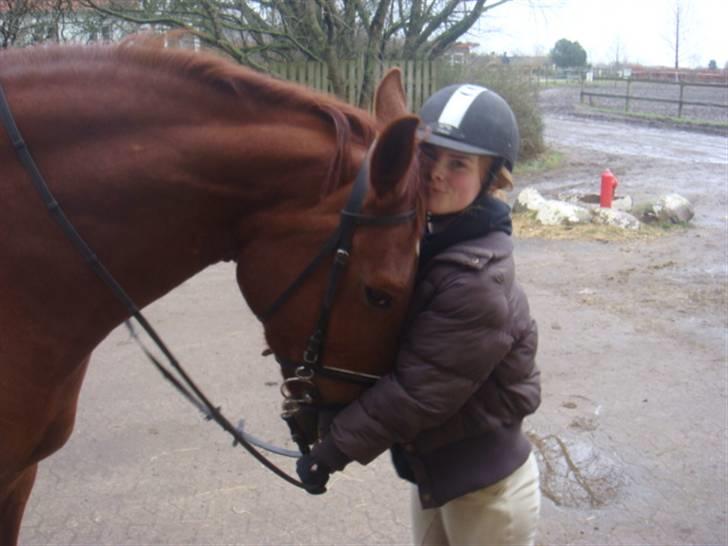 Oldenborg Rubin Star R.i.P :( - han hoved er lige så stort som mit hoved og overkrop billede 4