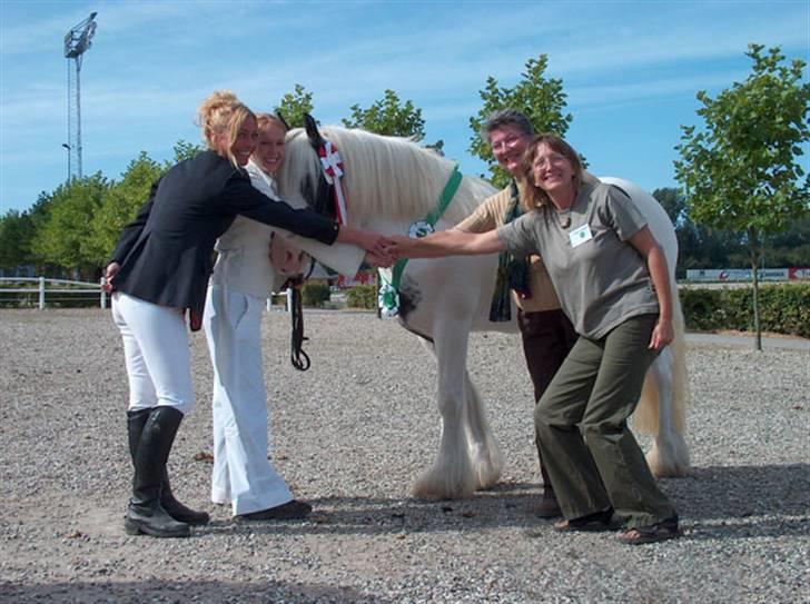 Irish Cob saint Epona of Killarney - Epona -Champ. 2003 billede 3